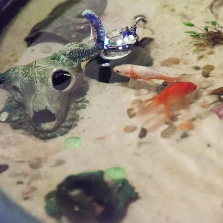 Milling Mini 19 ホテル 3*