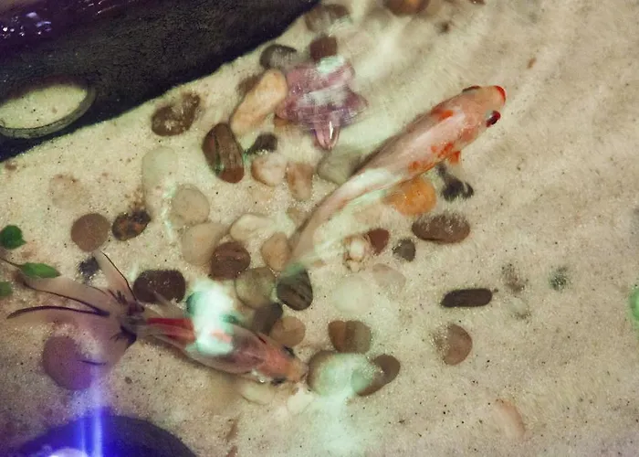 Milling Mini 19 Hotell 3*