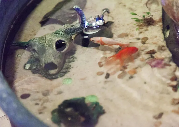 Milling Mini 19 Hotell 3*